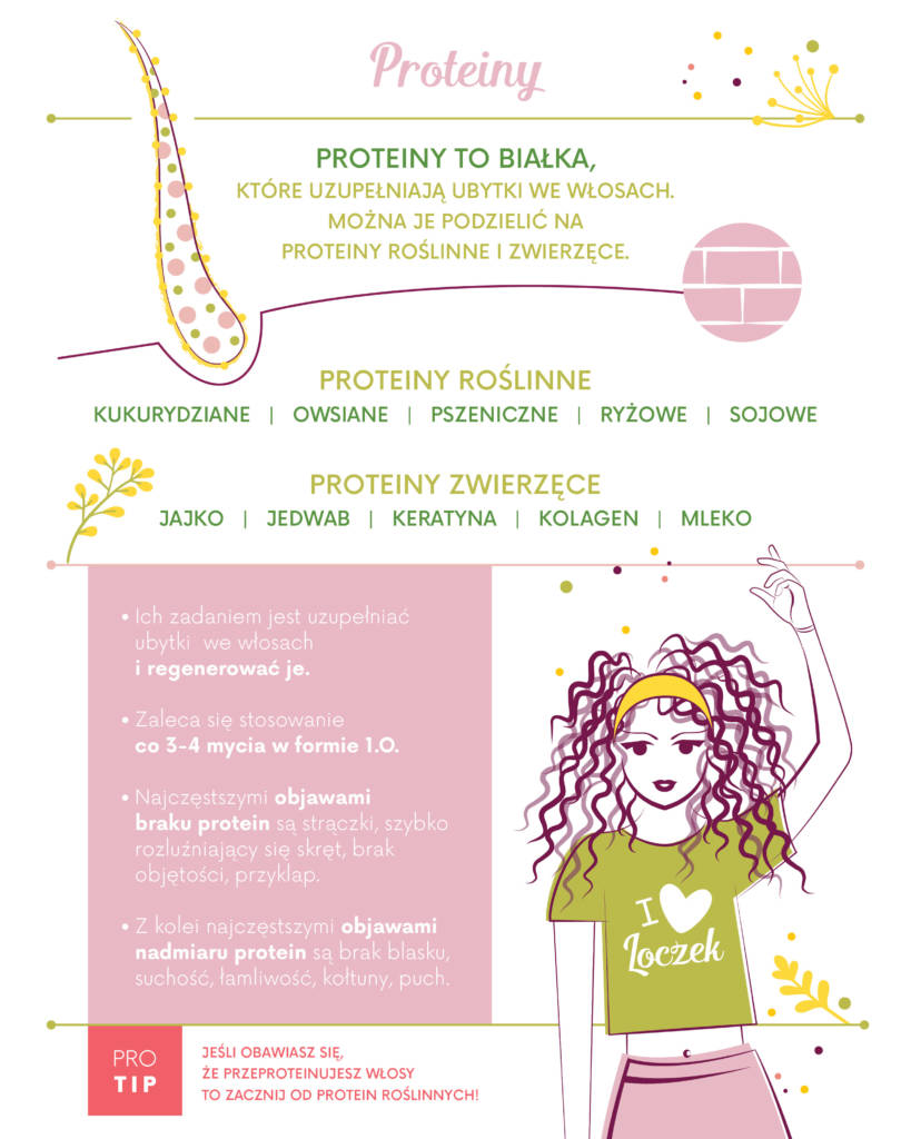 Proteiny infografika