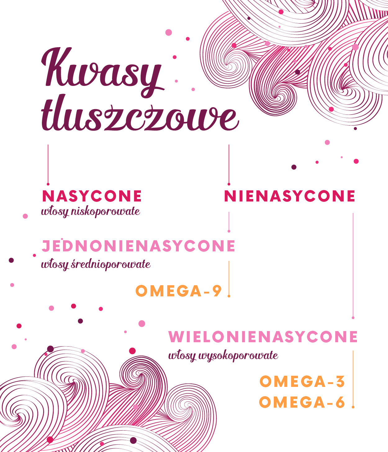 Sklep Loczek infografika podział kwasów tłuszczowych